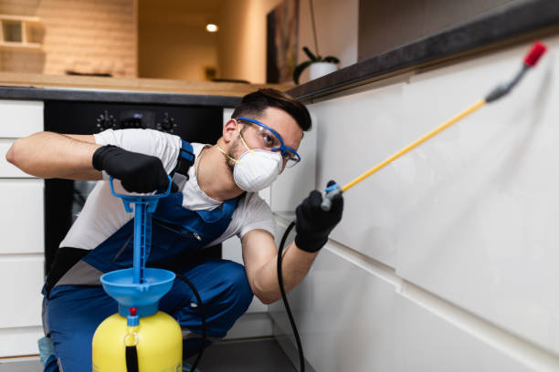 Best Rat Extermination Near Me  in Pine Island, TX
