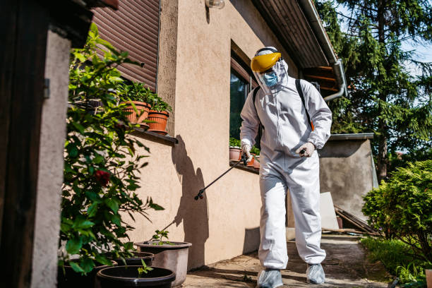 Best Wildlife Control Services  in Pine Island, TX