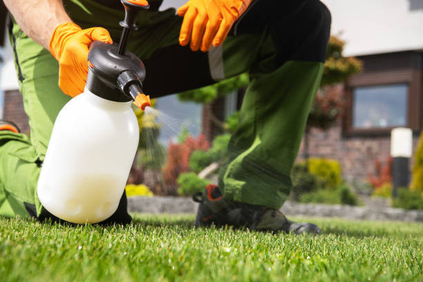 Best Pest Removal Services  in Pine Island, TX