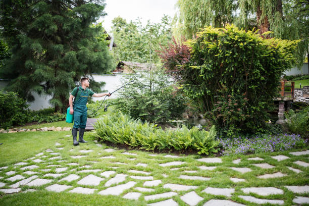 Best Best Pest Control Companies  in Pine Island, TX