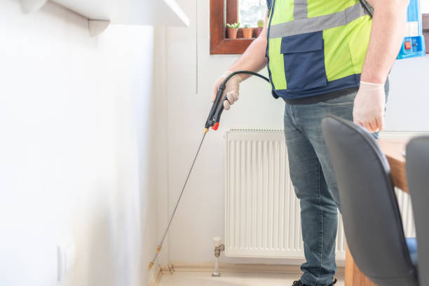 Best Pest Inspection Near Me  in Pine Island, TX