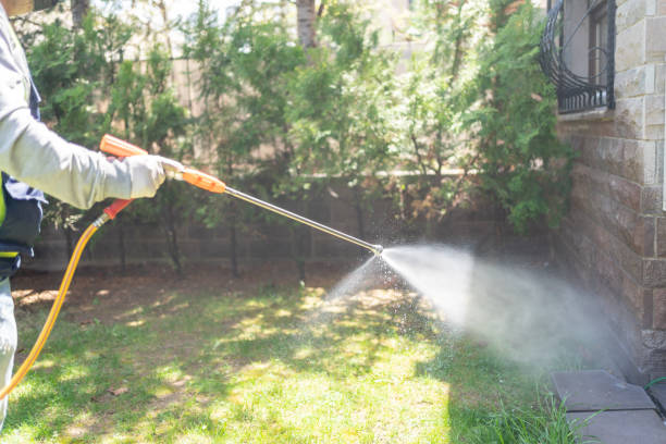 Best Pest Prevention Services  in Pine Island, TX