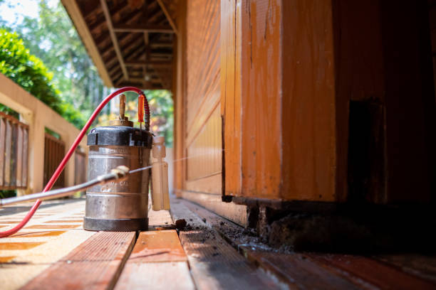 Best Mosquito Control Services  in Pine Island, TX