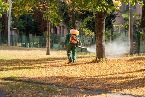 Best Rat Extermination Near Me  in Pine Island, TX