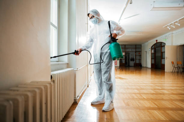 Best Pest Control for Restaurants  in Pine Island, TX